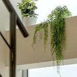 Bright & Airy 3br Spacious *