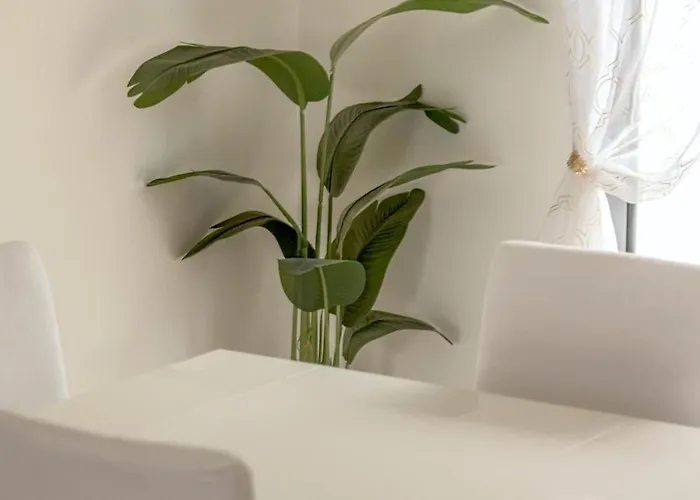 Bright & Airy 3br Spacious *