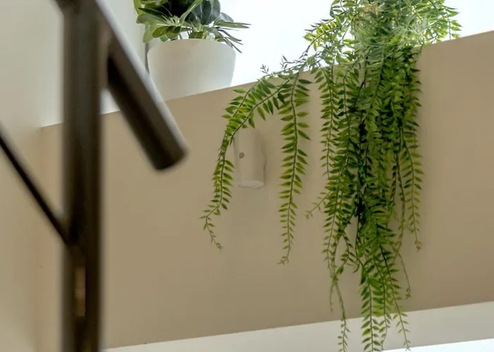 Bright & Airy 3br Spacious *